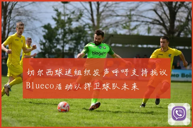 切尔西球迷组织发声呼吁支持抗议Blueco活动以捍卫球队未来