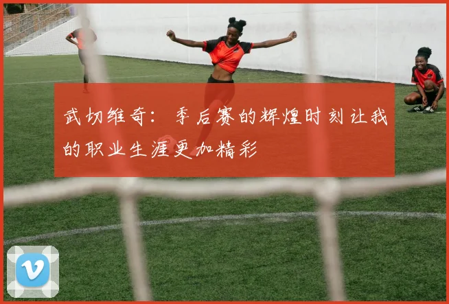 武切维奇：季后赛的辉煌时刻让我的职业生涯更加精彩