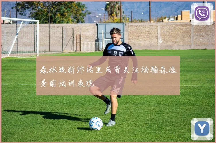 森林狼新帅诺里或曾关注杨瀚森选秀前试训表现
